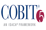 niit cobit2 niit cobit2